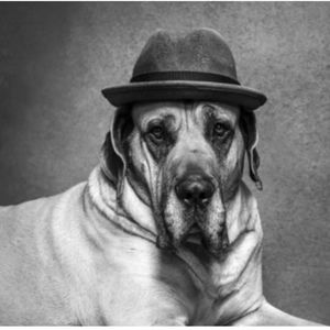 Meet your Posher, Carmen